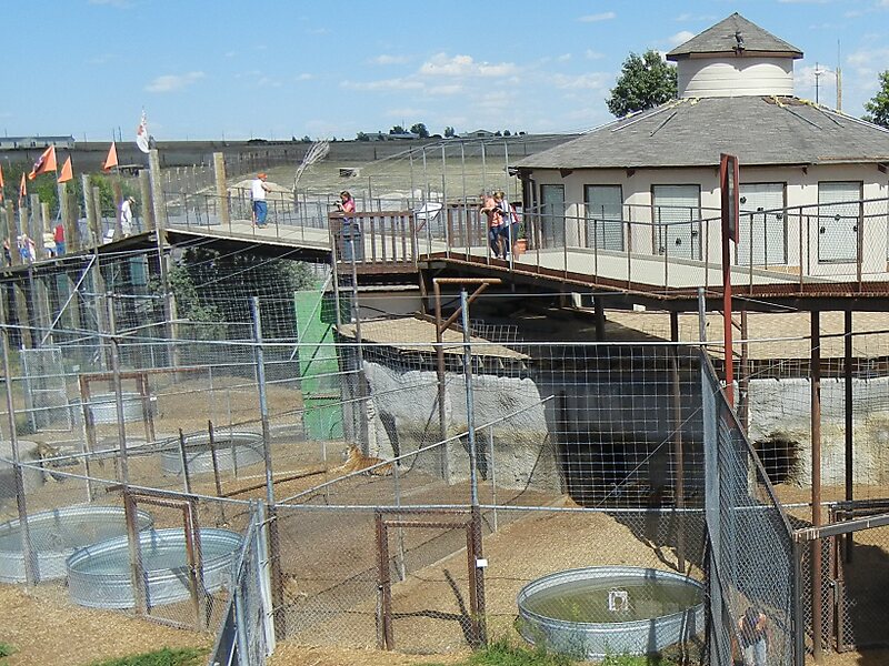 The Wild Animal Sanctuary