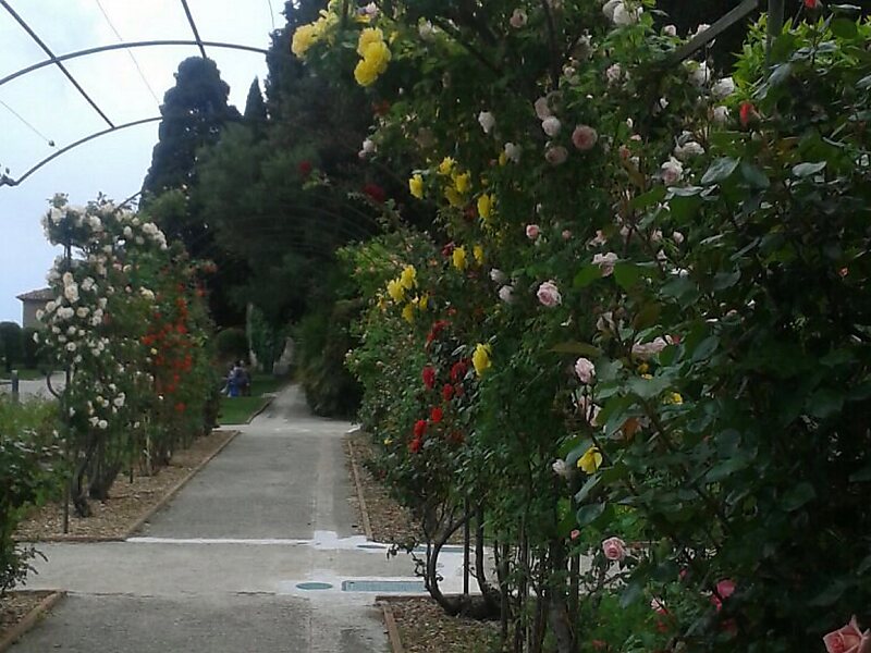 Museum and Archeological Site of Cemenelum