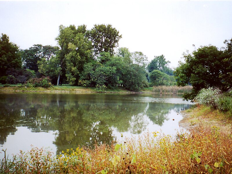 Morton Arboretum in Illinois, USA | Sygic Travel