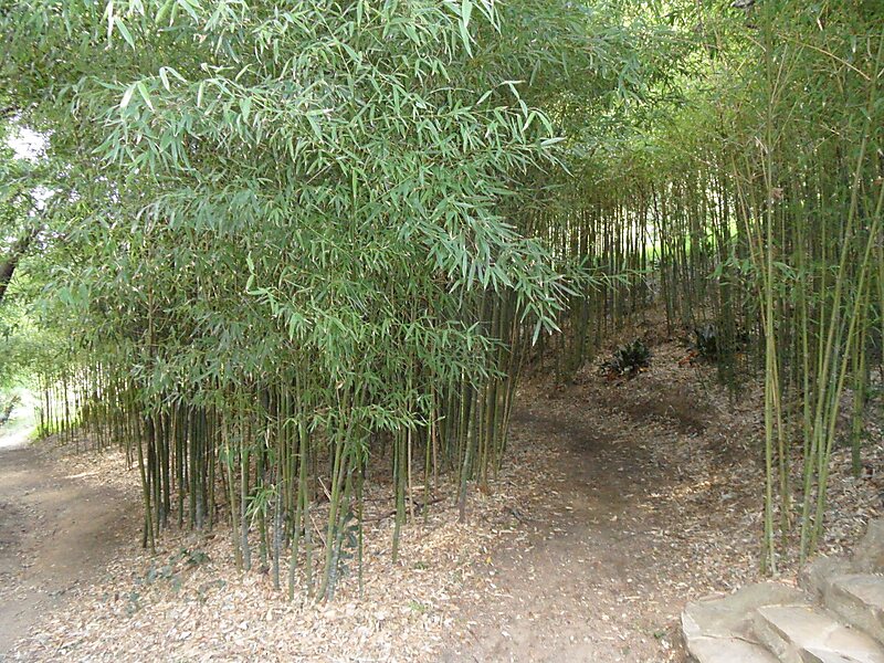 Rayol Botanical Garden