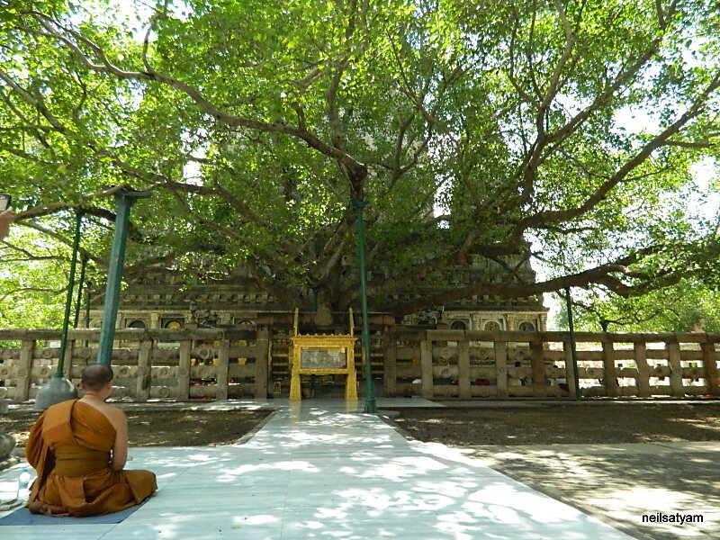 Mahabodhi Temple