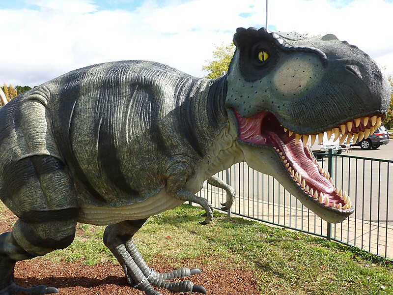 tyrannosaurus exhibition australian museum