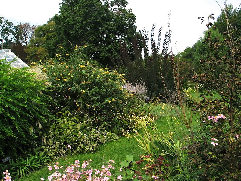 Snug Harbor Cultural Center and Botanical Garden