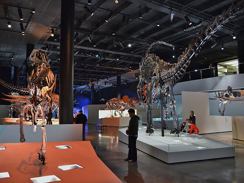 Houston Museum of Natural Science