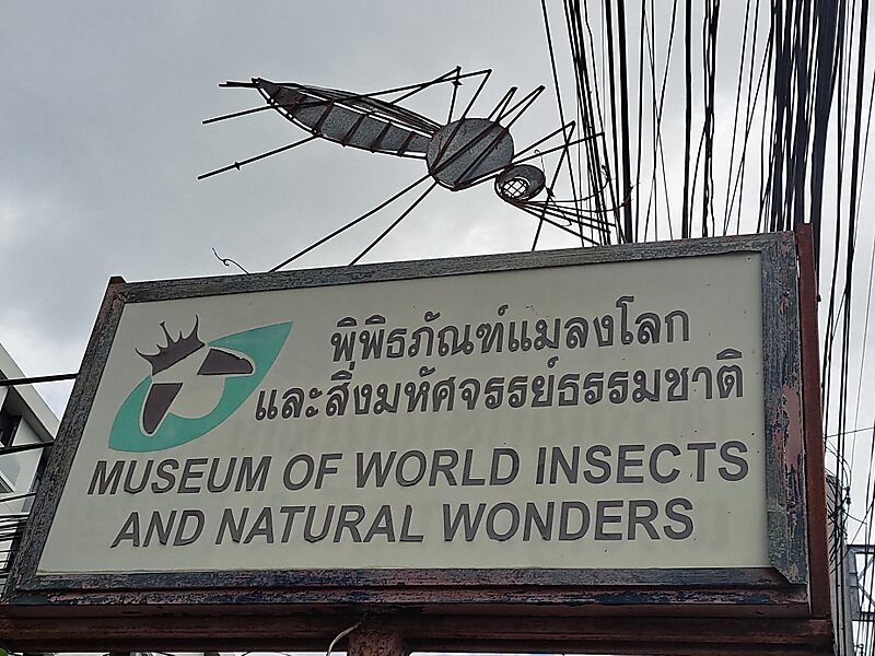 Museum of World Insects and Natural Wonders