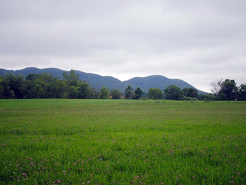 Silvio O. Conte National Wildlife Refuge