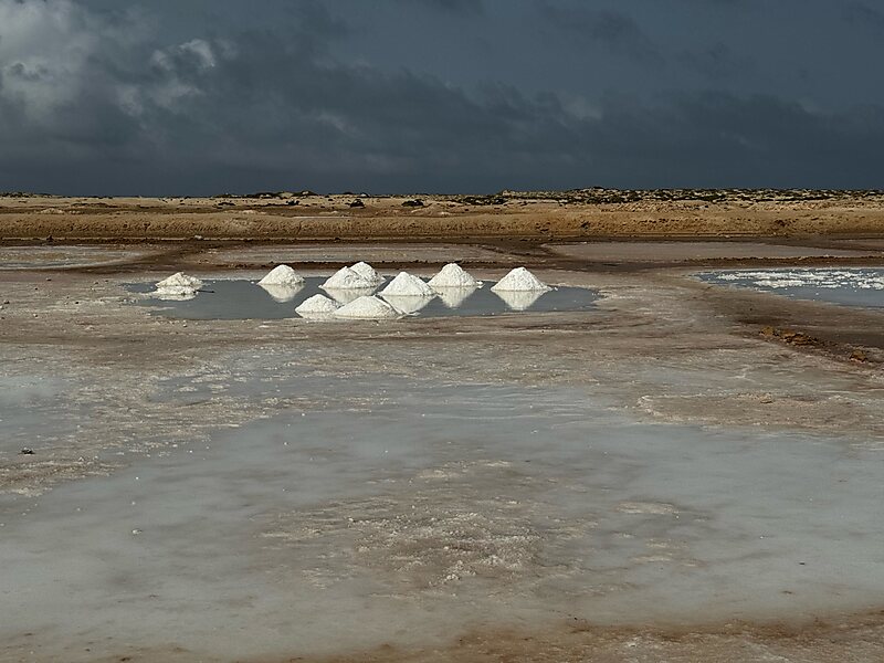 Santa Maria salt ponds
