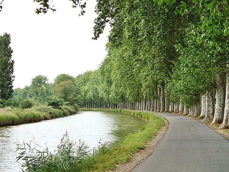 Canal Del Mediodia En Toulouse Francia Sygic Travel