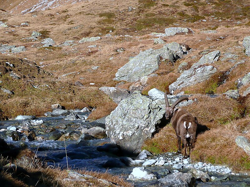 Vanoise National Park
