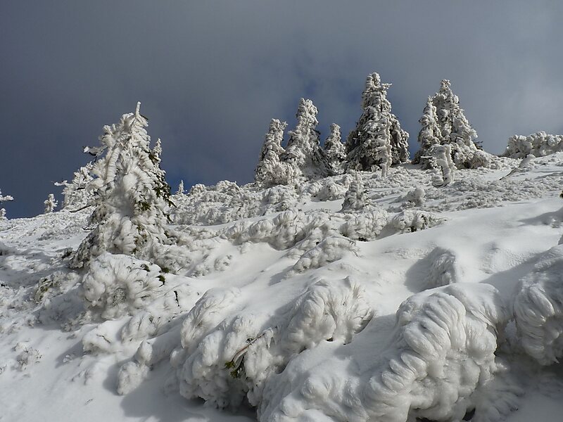 Jeseníky Protected Landscape Area