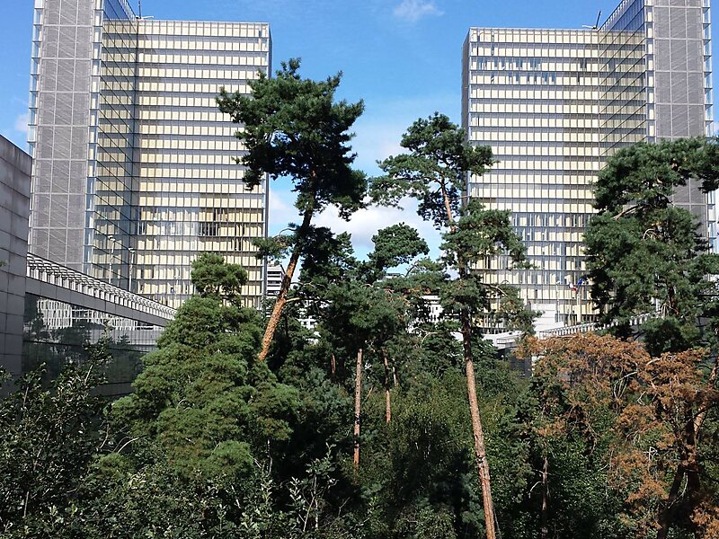 Resultado de imagem para FOTOS DA BIBLIOTECA NACIONAL FRANÇA