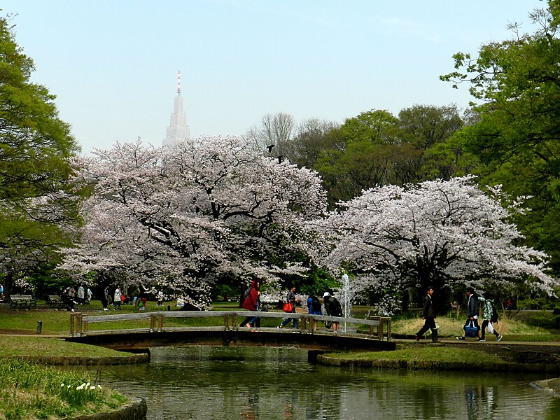 Parque Yoyogi (代々木公園) en Shinjuku, Japón | Sygic Travel