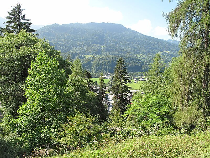 Alpine Botanic Garden Jaÿsinia