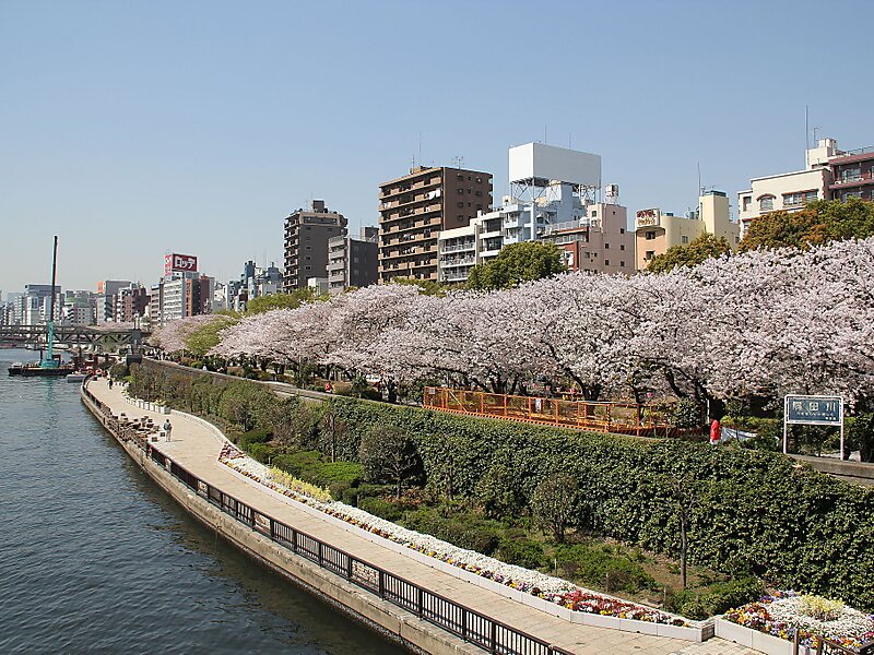 Sumida Park in Tokyo, Japan | Tripomatic