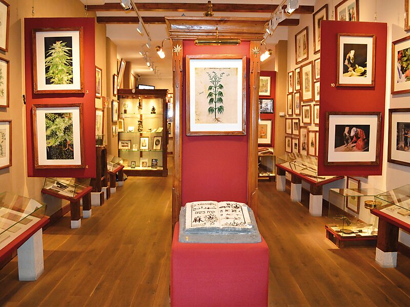 Hash Marihuana Hemp Museum In Amsterdam Nederland Sygic Travel