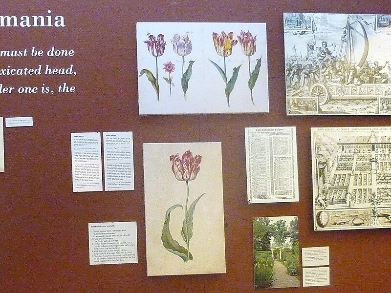 Amsterdam Tulip Museum