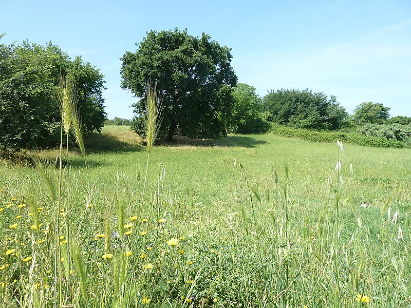 Parc de la Caffarella