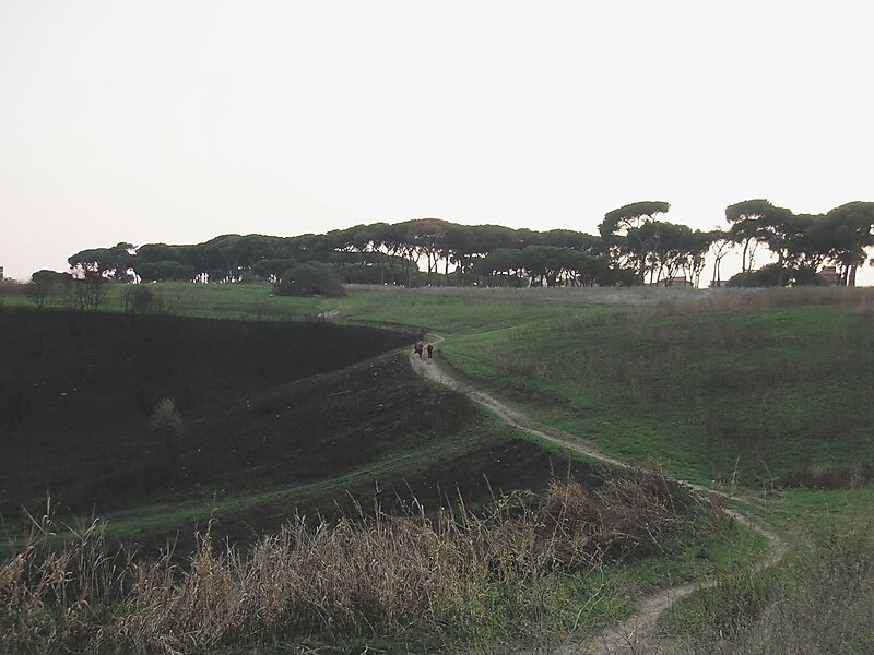 Pineto Regional Park