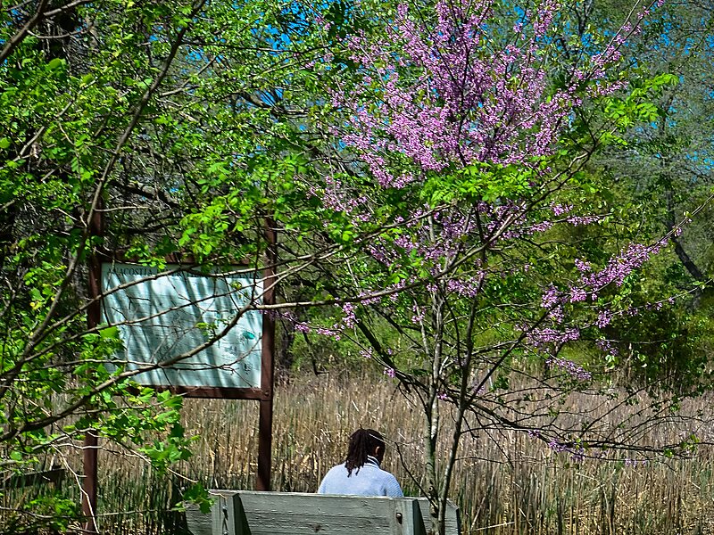 Kenilworth Aquatic Gardens