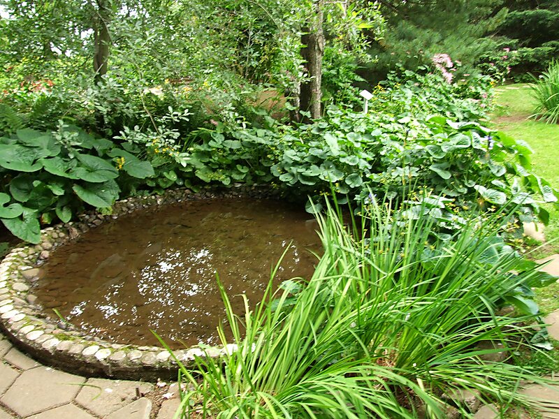 Akureyri Botanical Garden