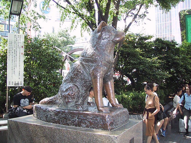 Estátua De Bronze Do Cão Famoso Hachiko, Quadrado De Hachiko