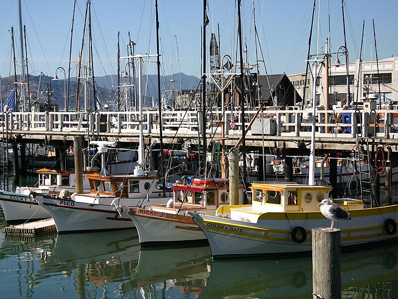 Fisherman's Wharf