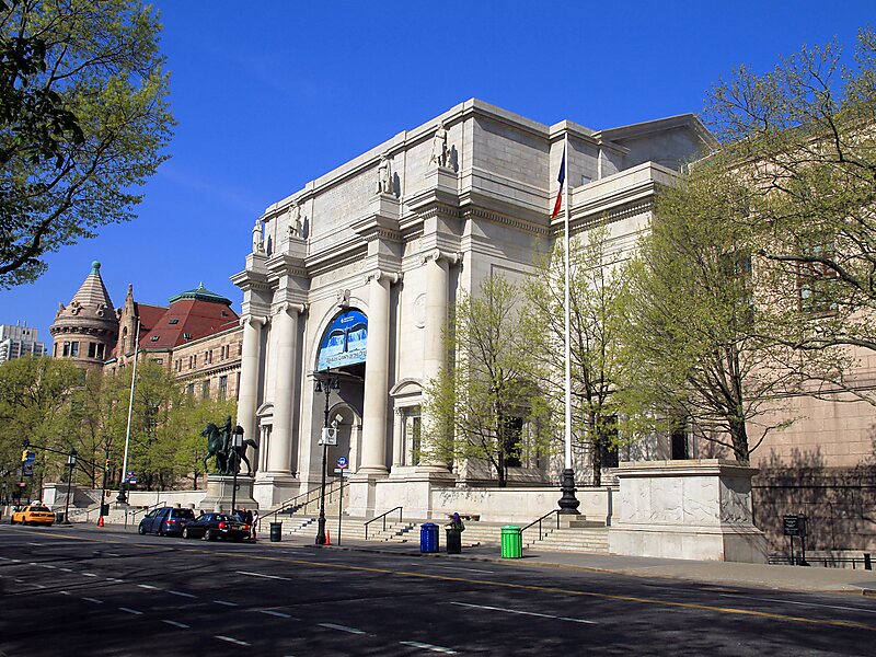 American Museum of Natural History