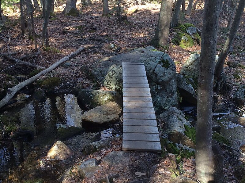 Harold Parker State Forest