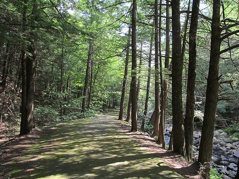 Escape to the Wilderness: Your Guide to Granville State Forest in Massachusetts