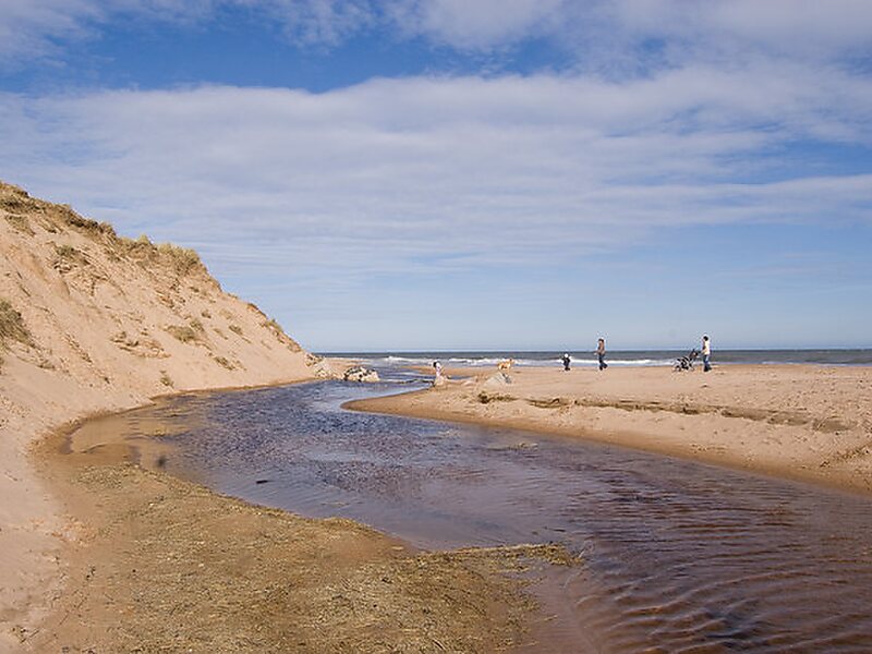 Balmedie Beach