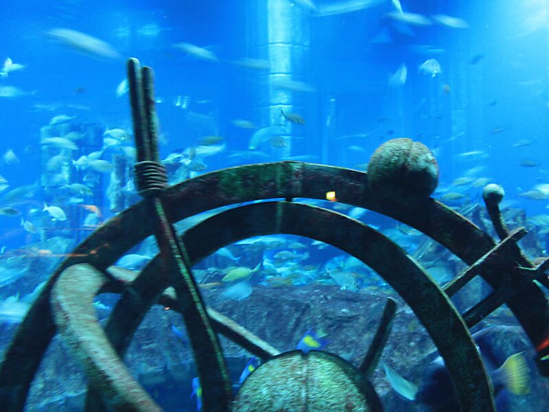 Lost Chambers Atlantis