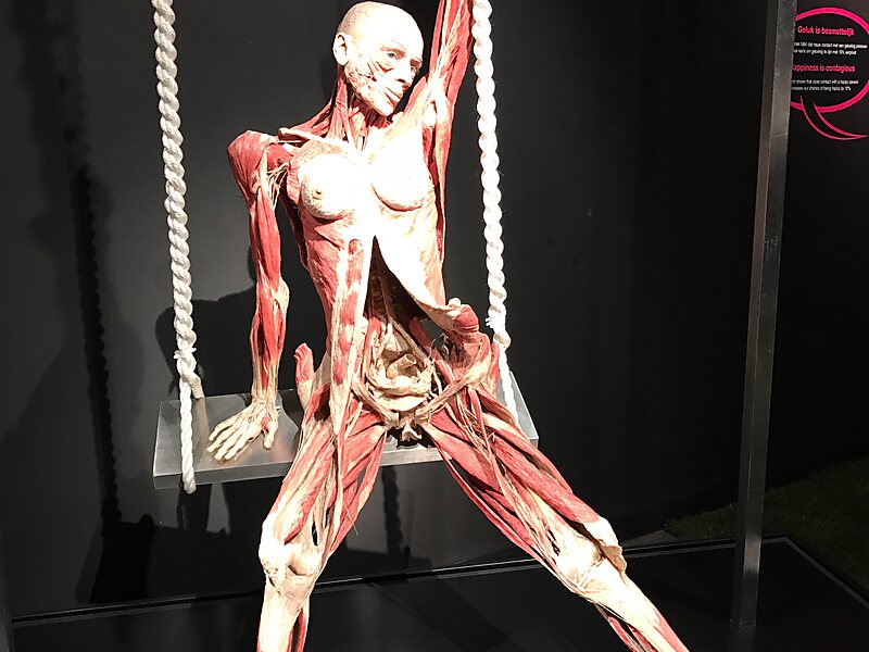 Body Worlds