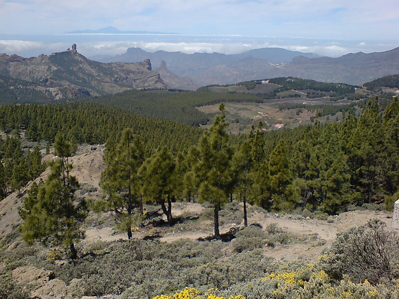 Llanos de la Pez Tejeda, Espagne Sygic Travel