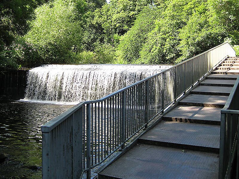 Water of Leith Walkway