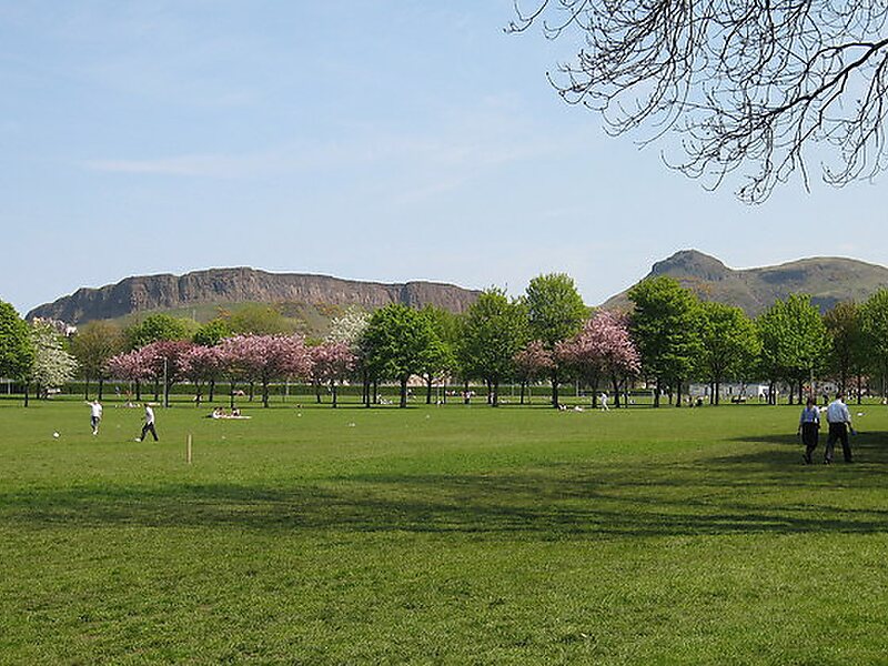 The Meadows
