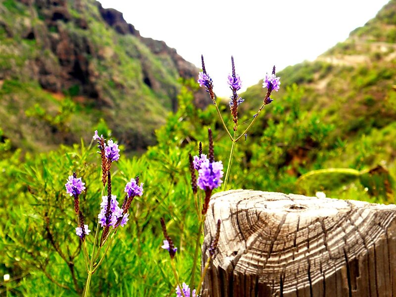 Barranco del Infierno