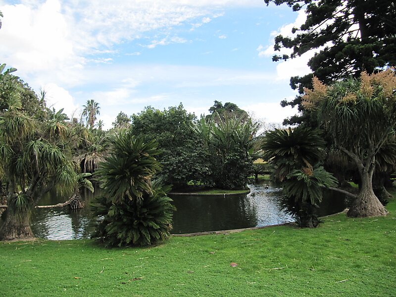 Tropischer Botanischer Garten