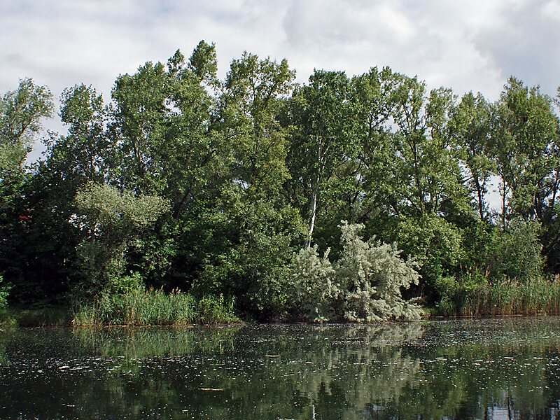 Danube-Auen National Park