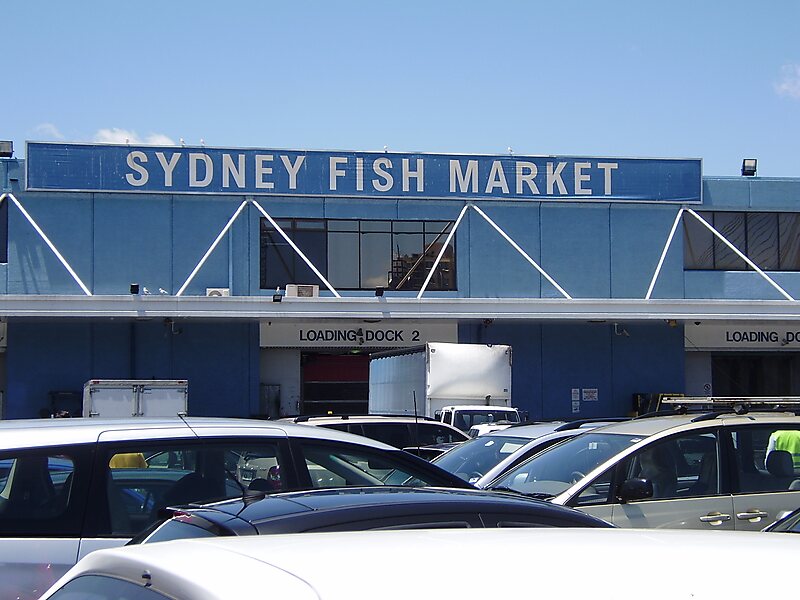 Sydney Fisch Markt