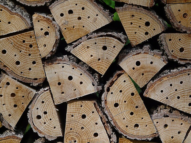 Botanical Garden of Barcelona