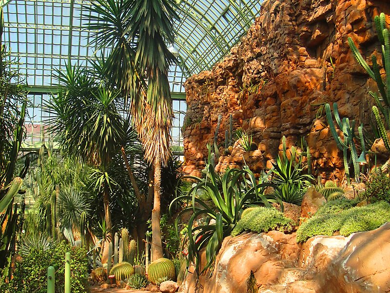 Wüstenhaus Schönbrunn