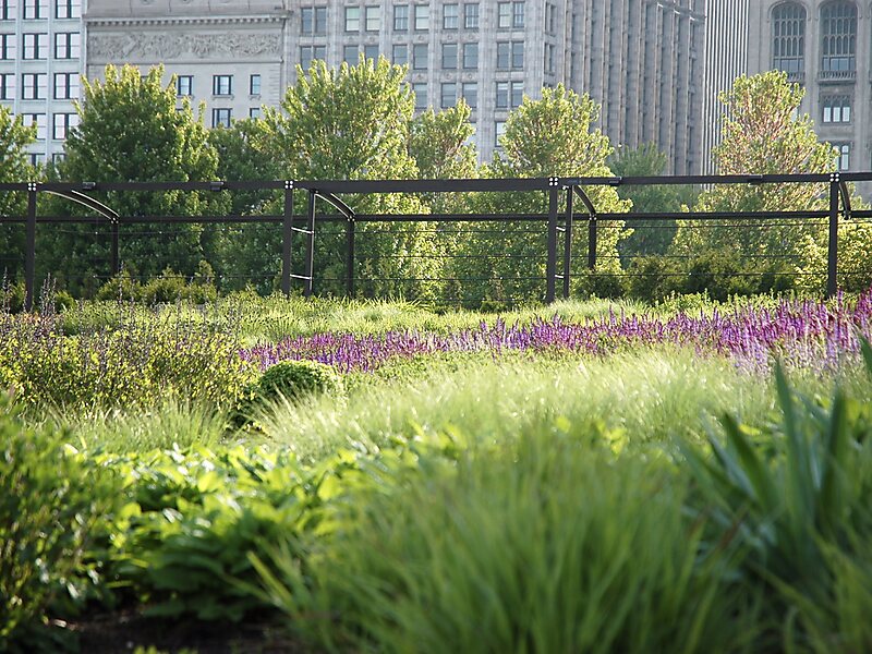 Lurie Garden