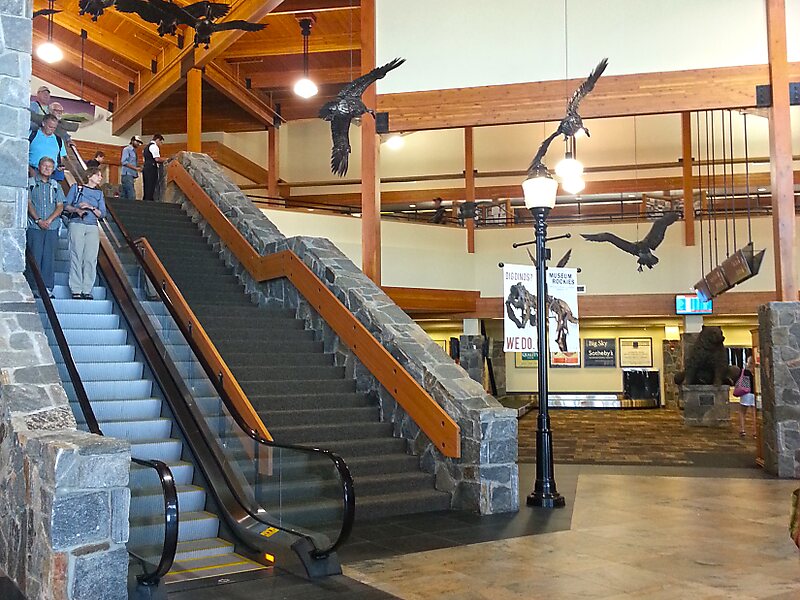 Rental Car Bozeman Mt Airport Car Sale and Rentals