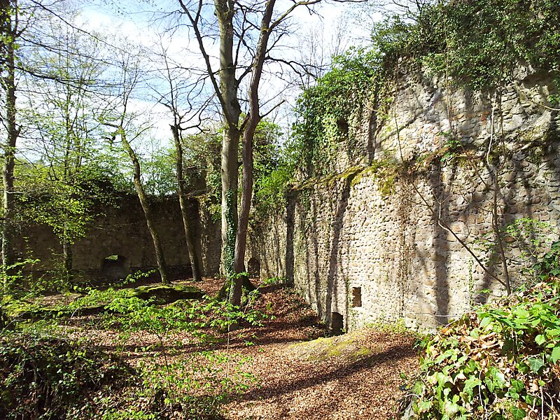 Burgruine Weisswasserstelz