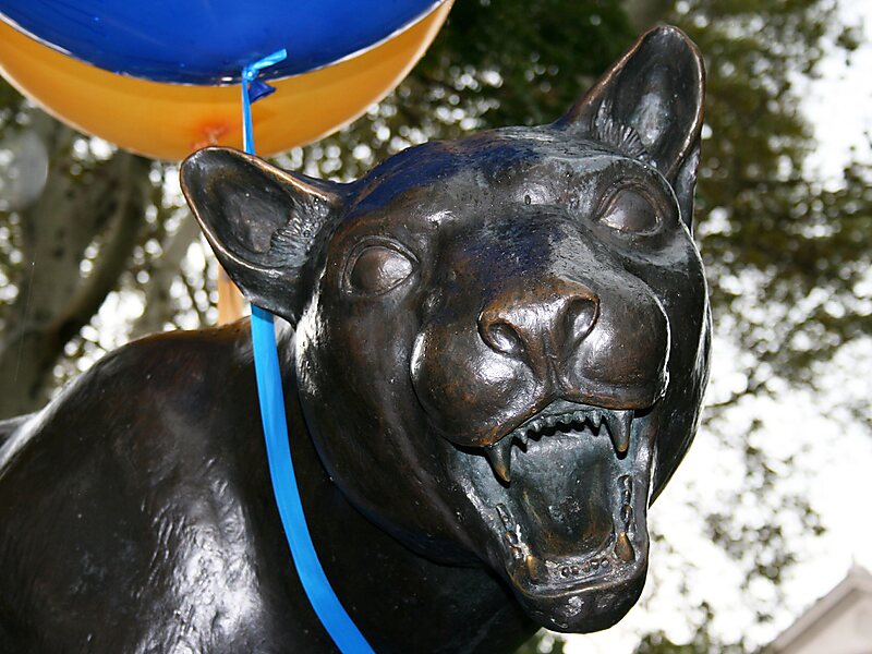 Panthers of Pittsburgh