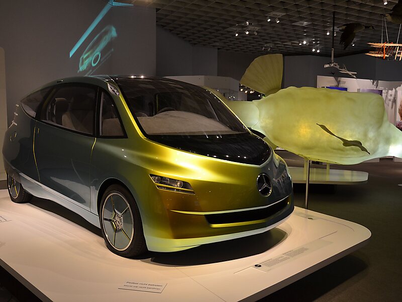 LWL-Museum für Naturkunde