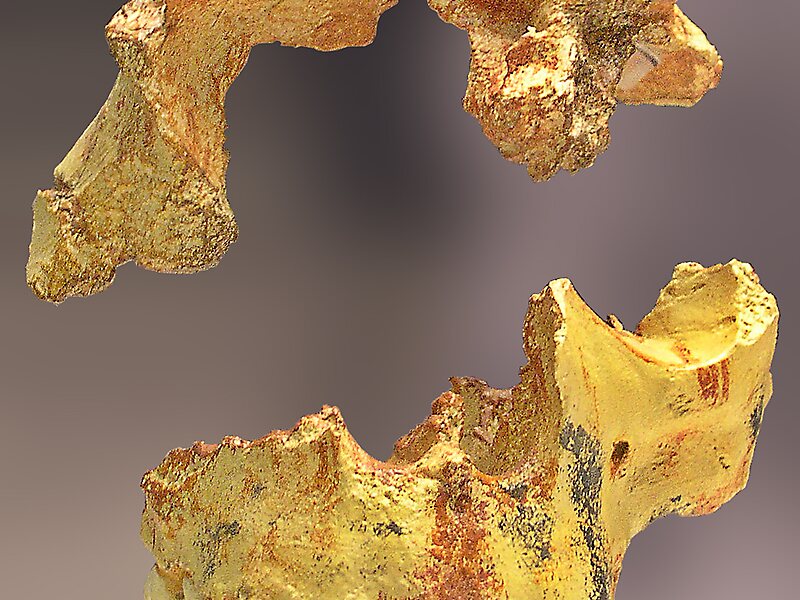 Archaeological Site of Atapuerca