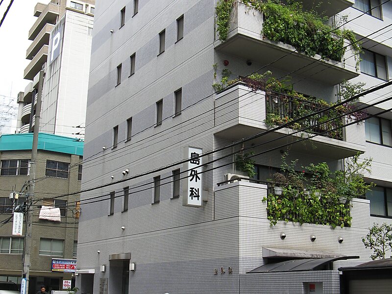 Ospedale Shima (Shima byōin)