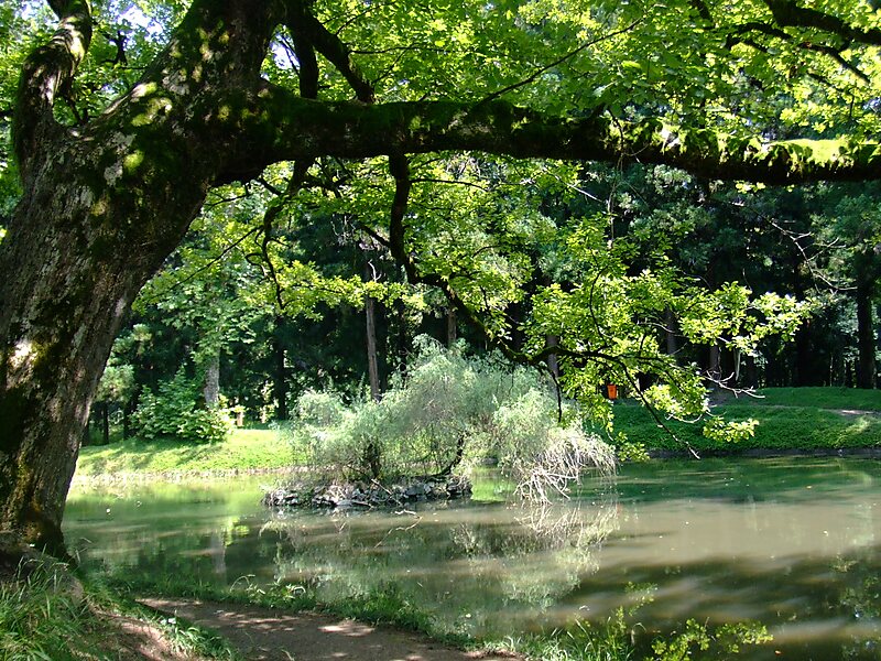 Zugdidi Botanical Gardens In Zugdidi Georgia Sygic Travel