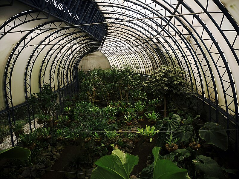 Quito Botanical Garden